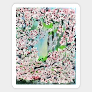 Kims Cherry Blossoms Sticker